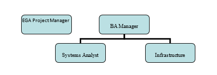 Professional Engineer CDR report