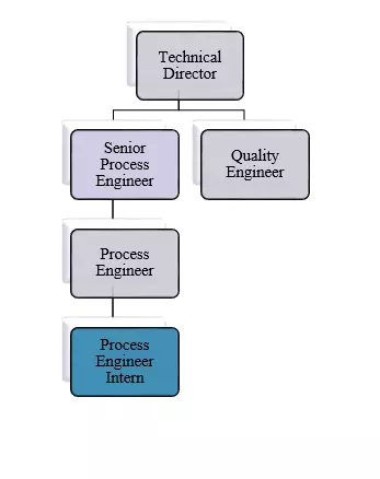 Petroleum Engineer CDR report