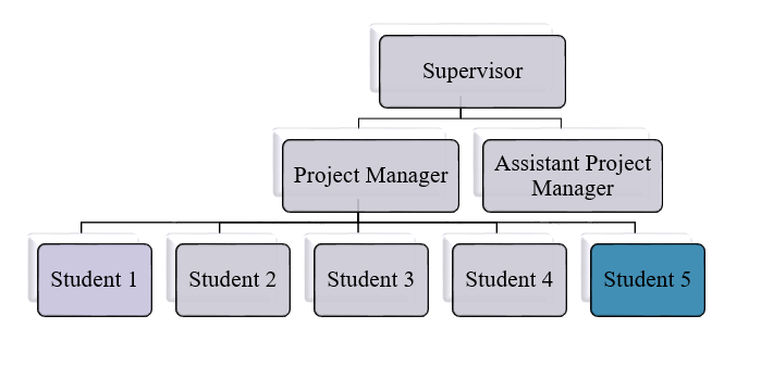 Petroleum Engineer CDR report