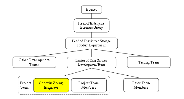 Professional Engineer CDR report