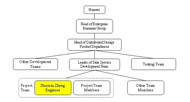 Professional Engineer CDR report